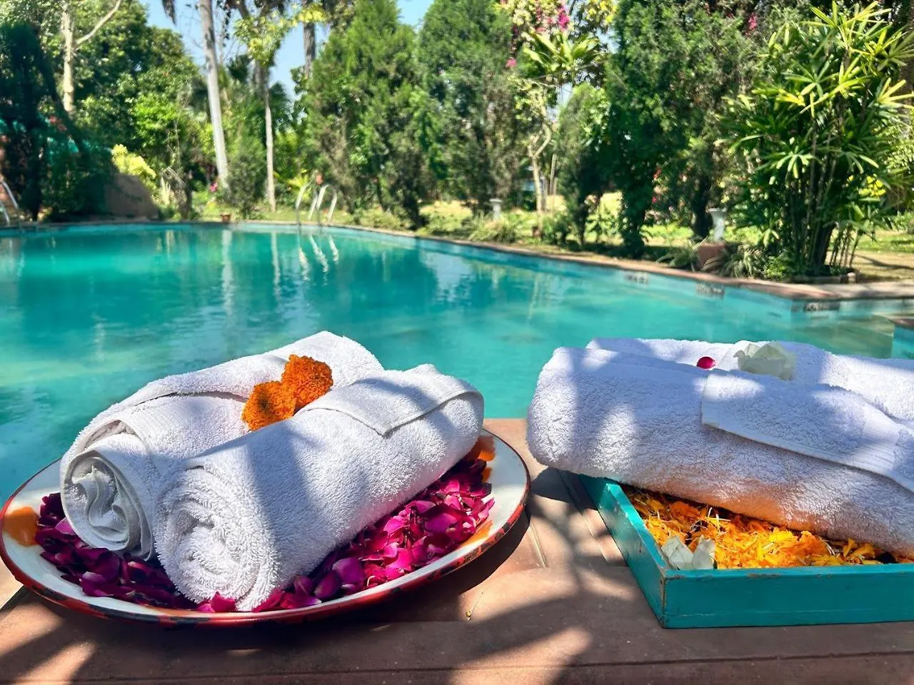 Villa Hostie Chinar Haveli - Heritage Home With Pool, Gurgaon India